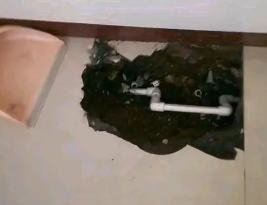 红旗卫生间测漏水多少钱